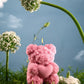 Rosé Teddy Heart Candle – 10cm Floral Soy Wax Bear